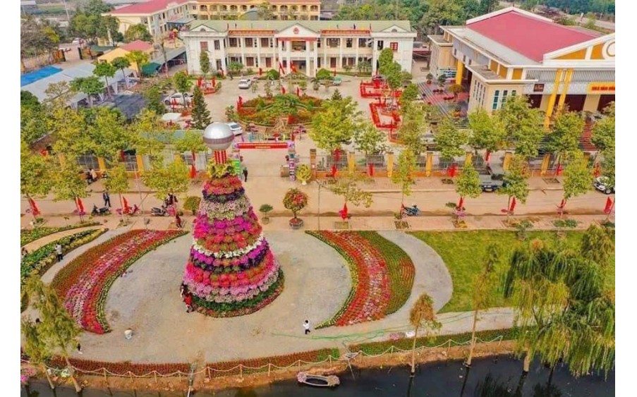 Bán đất đấu giá Lô Góc 127m thôn 7 Xuân Quan giá siêu nét cho nhà đầu tư